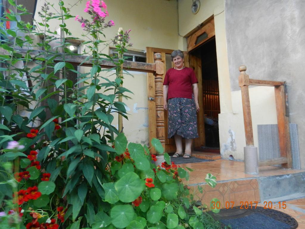 Marina Chartolani'S Guest House Mestia Ngoại thất bức ảnh
